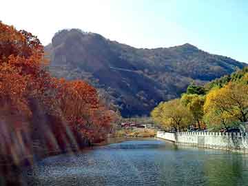 正版澳门天天开彩大全，上海中空板